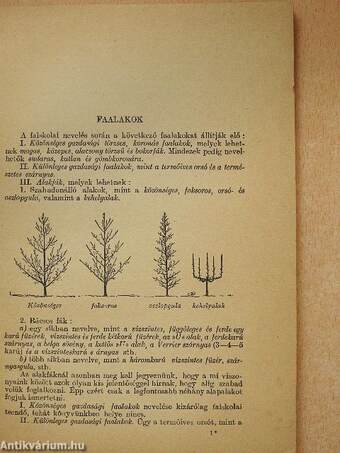 Általános gyümölcstermesztés és értékesítés II.