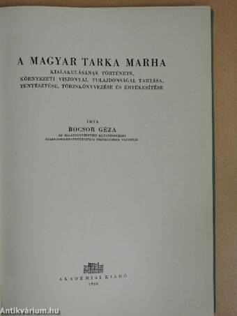 A magyar tarka marha