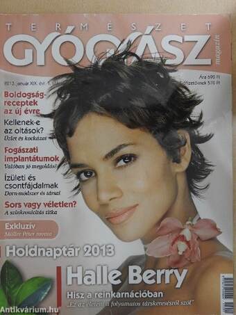 Természetgyógyász Magazin 2013. január-december