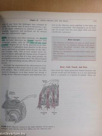 Biological Principles with Human Applications