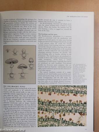 The Encyclopedia of Mushrooms