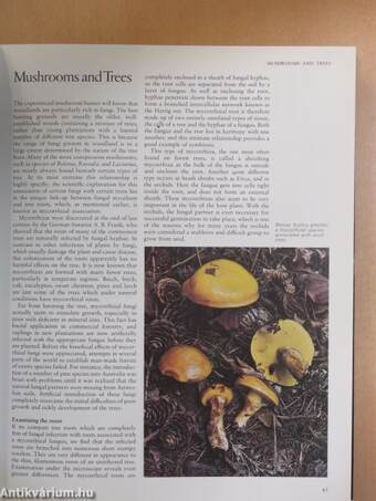 The Encyclopedia of Mushrooms