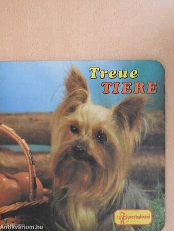 Treue Tiere