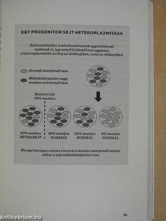 Legyél te is biohacker!