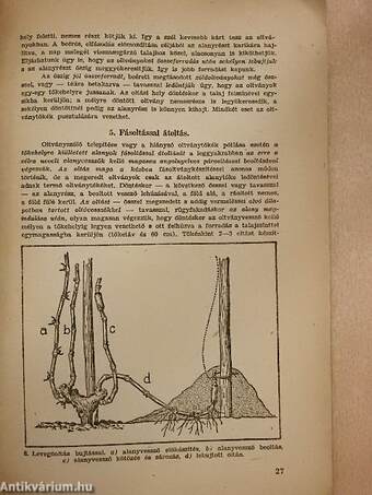 A szőlőtermesztés kiskönyve