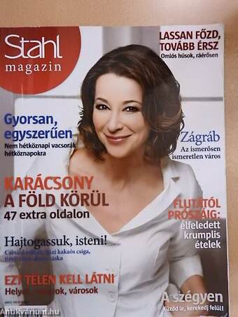 Stahl Magazin 2013. tél