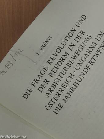 Die Frage der Revolution und der Reform in der Arbeiterbewegung Österreich-Ungarns um die Jahrhundertwende