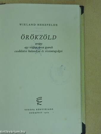 Örökzöld