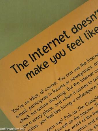 The Complete Idiot's Guide to Protecting Yourself on the Internet