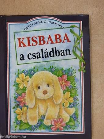 Kisbaba a családban