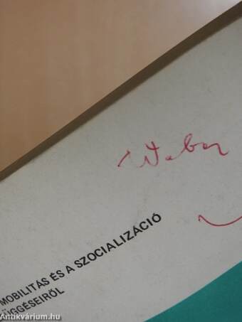 A társadalmi mobilitás és a szocializáció egyes összefüggéseiről