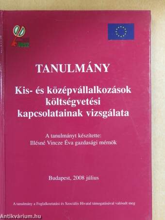 Kis- és középvállalkozások költségvetési kapcsolatainak vizsgálata