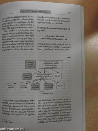 Hitelintézeti szemle 2002/5.