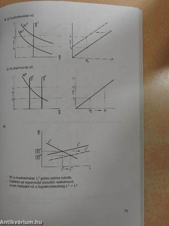 Makroökonómiai példatár és feladatgyűjtemény