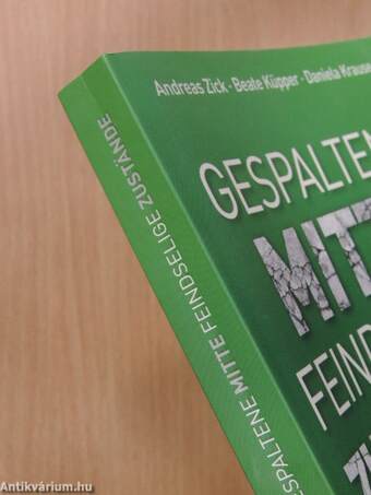 Gespaltene Mitte - Feindselige Zustände