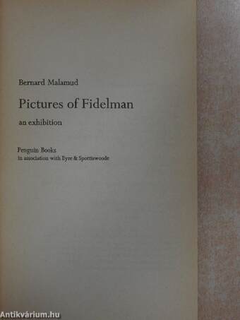 Pictures of Fidelman