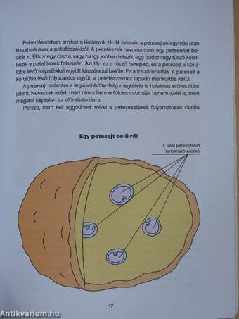 A születés csodálatos története