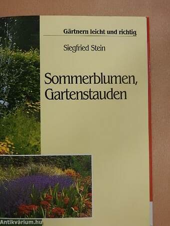 Sommerblumen, Gartenstauden