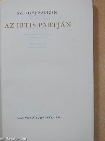 Az Irtis partján