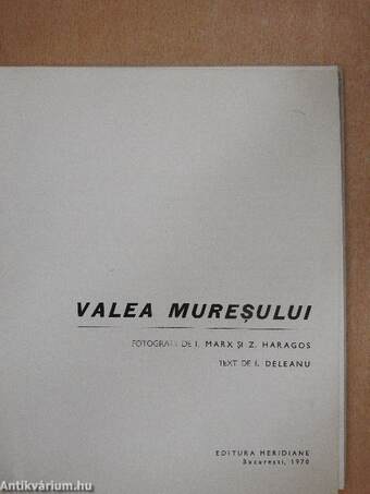 Valea Muresului