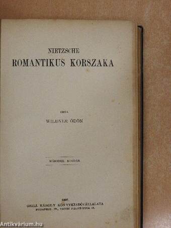 Nietzsche romantikus korszaka