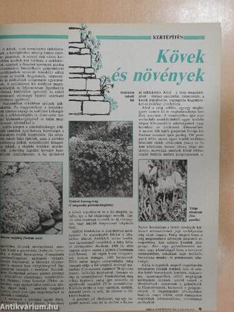 Kertészet és Szőlészet 1993. január-december