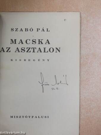 Macska az asztalon