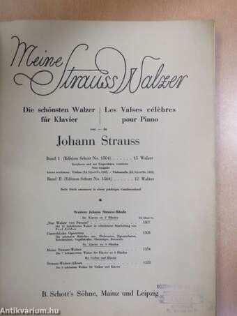 Meine Strauss Walzer I.