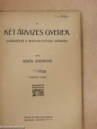 A két árvizes gyerek