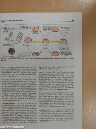 Biologie 7