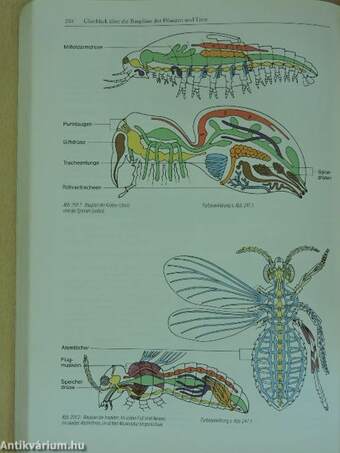 Linder Biologie