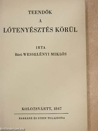 Teendők a lótenyésztés körül