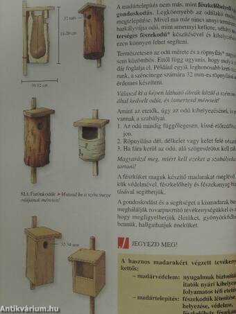 Természetismeret 5.