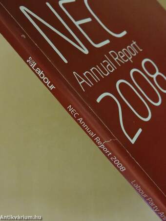 NEC Annual Report 2008