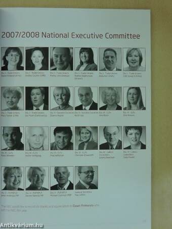 NEC Annual Report 2008