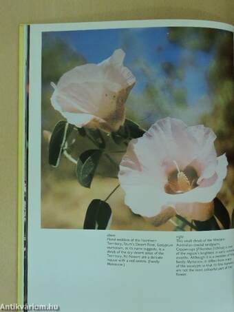 Wildflowers of Australia