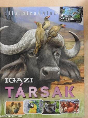 Igazi társak