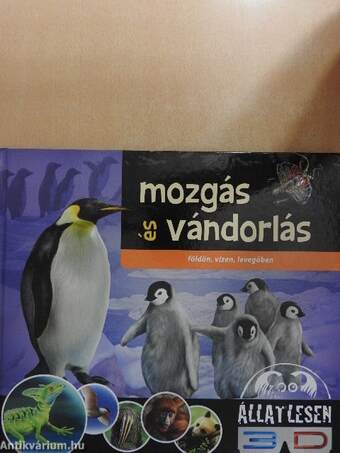 Mozgás és vándorlás