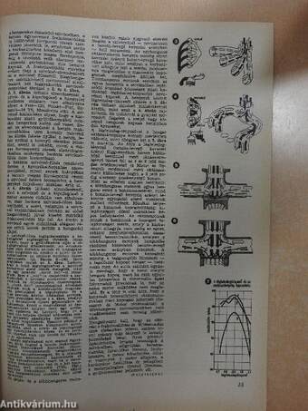 Autó-Motor 1971. október 6.