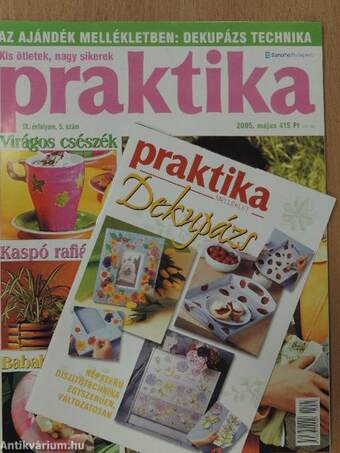 Praktika 2005. május