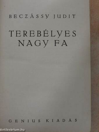 Terebélyes nagy fa