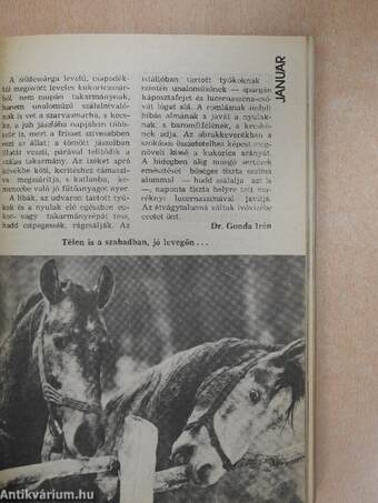 Az Élet és Tudomány Kalendáriuma 1988