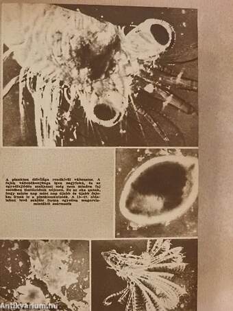 Univerzum 1963/1-12.