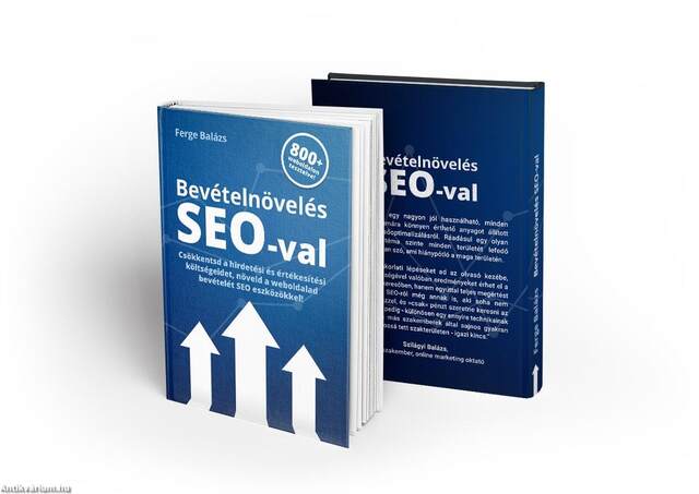 Bevételnövelés SEO-val