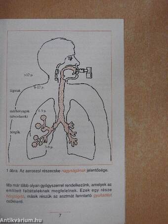 Mit kell tudni a belégzéses kezelésről?