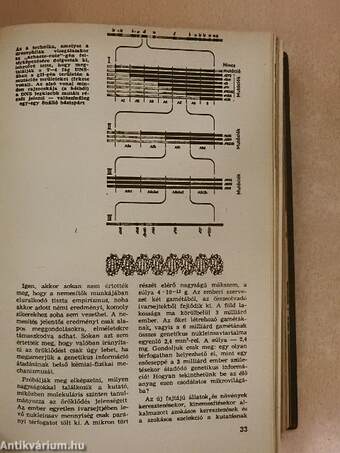 Univerzum 1966/1-12.