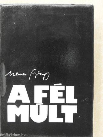 A fél múlt