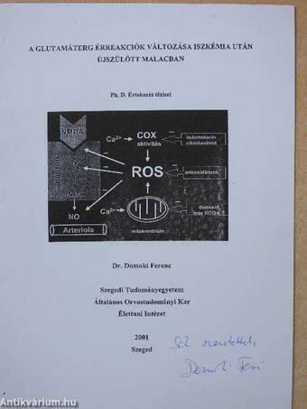 A glutamáterg érreakciók változása iszkémia után újszülött malacban (dedikált példány)