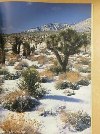 Death Valley National Park