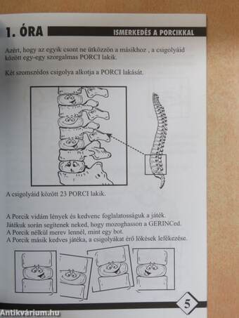 Gerinciskola